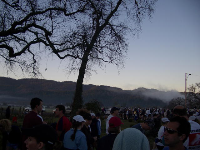 NapaMarathon 009