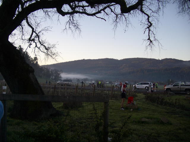 NapaMarathon 011