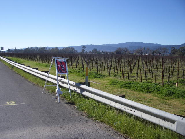 NapaMarathon 021