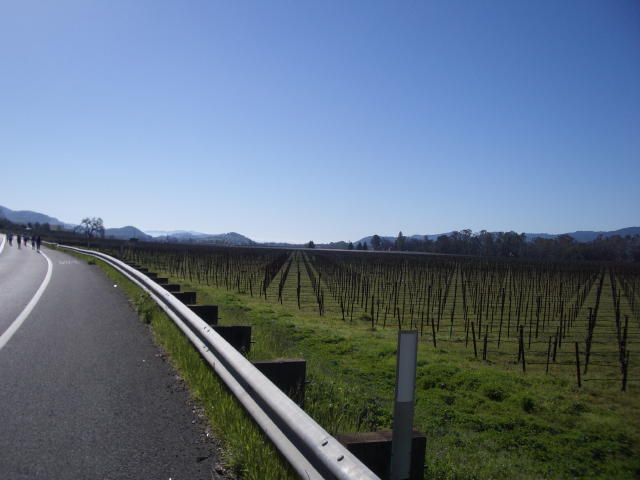 NapaMarathon 022