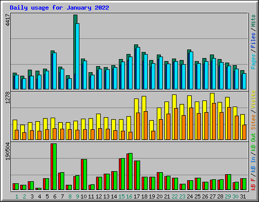Daily usage for January 2022