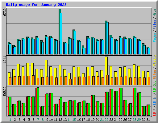 Daily usage for January 2023