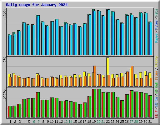 Daily usage for January 2024
