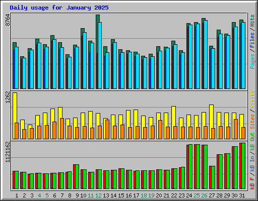 Daily usage for January 2025