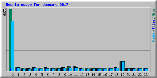 Hourly usage for January 2017
