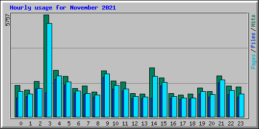 Hourly usage for November 2021