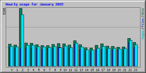 Hourly usage for January 2022