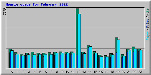 Hourly usage for February 2022