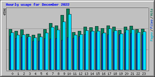 Hourly usage for December 2022