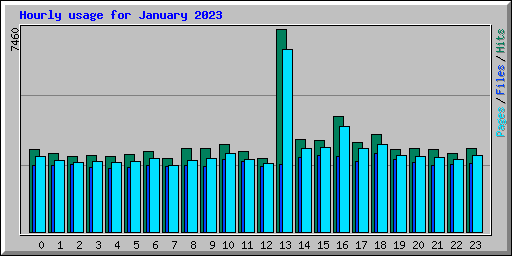 Hourly usage for January 2023
