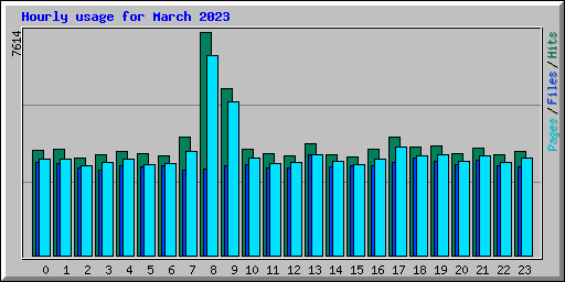 Hourly usage for March 2023