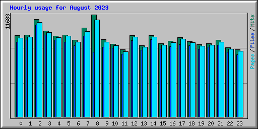 Hourly usage for August 2023
