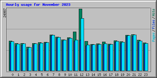 Hourly usage for November 2023