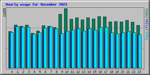 Hourly usage for December 2023