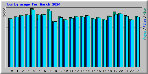 Hourly usage for March 2024