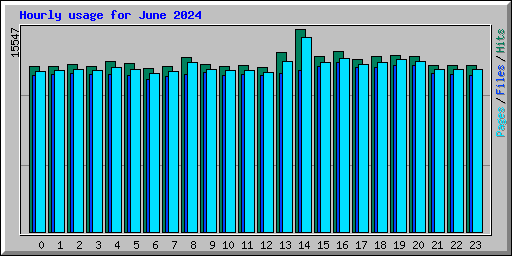 Hourly usage for June 2024