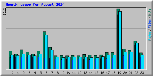 Hourly usage for August 2024