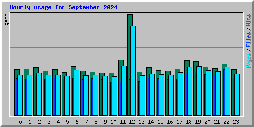 Hourly usage for September 2024