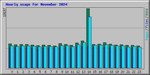Hourly usage for November 2024