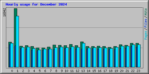 Hourly usage for December 2024