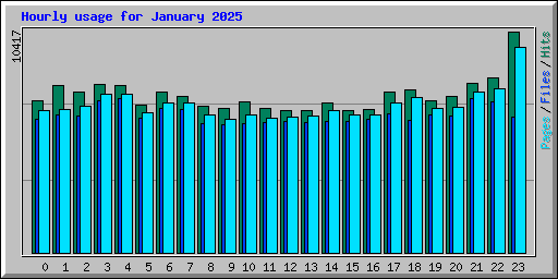 Hourly usage for January 2025