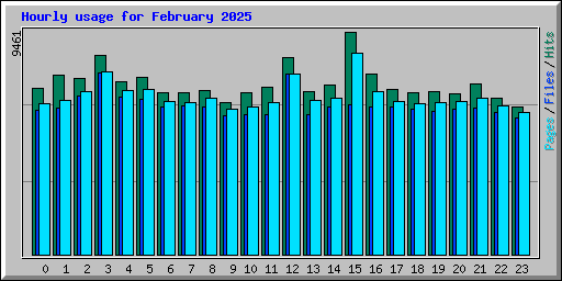 Hourly usage for February 2025