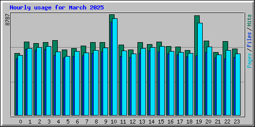 Hourly usage for March 2025