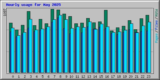 Hourly usage for May 2025
